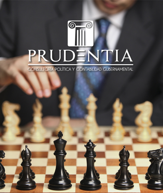 Consultoria politica