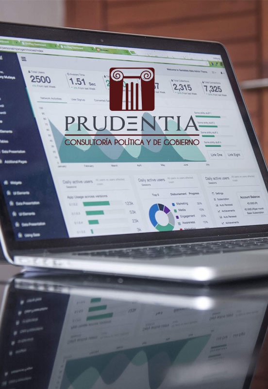 Consultoria politica